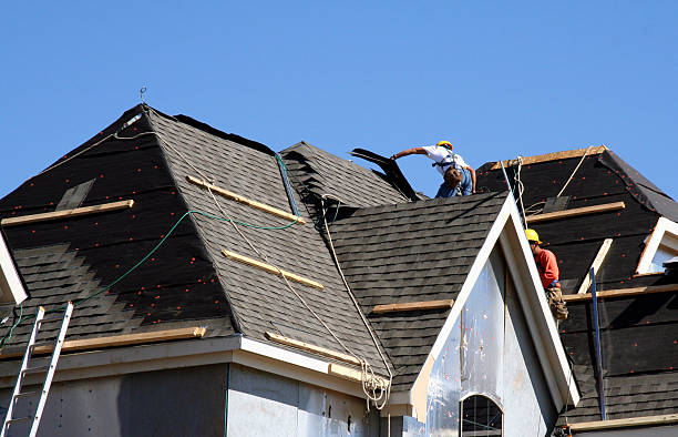 Quick and Trustworthy Emergency Roof Repair Services in Palm Harbor, FL