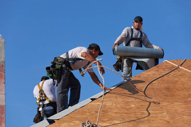 Best Gutter Installation and Roofing  in Palm Harbor, FL